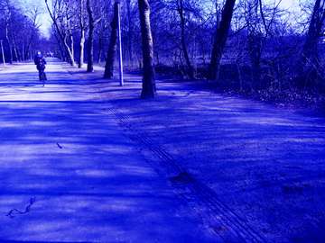Het Vondelpark in blauw licht